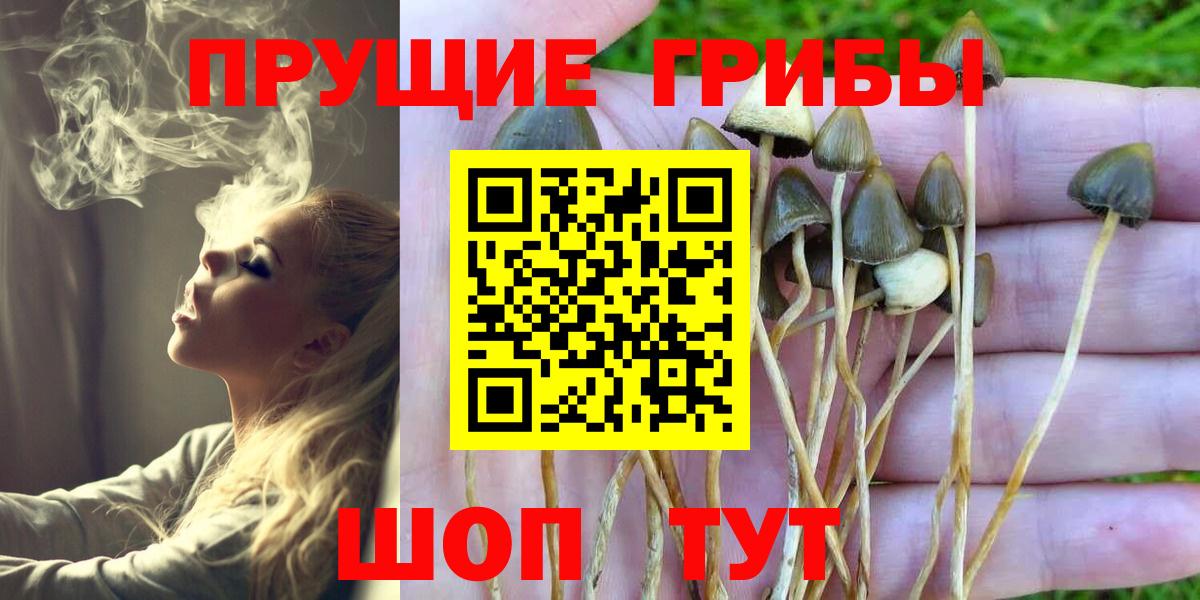 Еманжелинск  Псилоцибиновые грибы мицелий  Вход с VPN  Псилоцибиновые грибы Magic Shrooms 